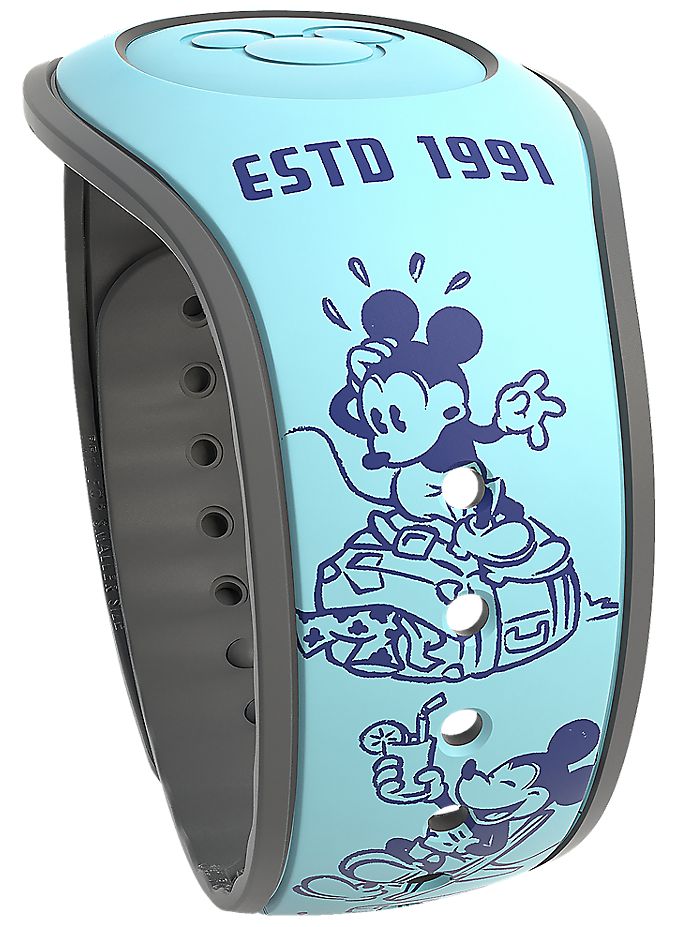 DVC Mickey view 4