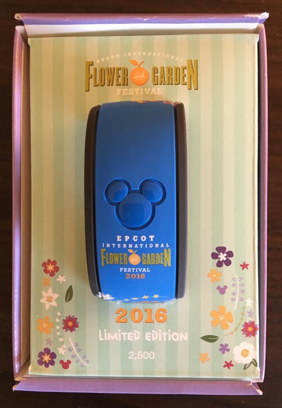 Epcot International Flower & Garden Festival 2016 view 3