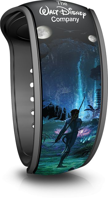 Board of Directors 2017 Disney MagicBand