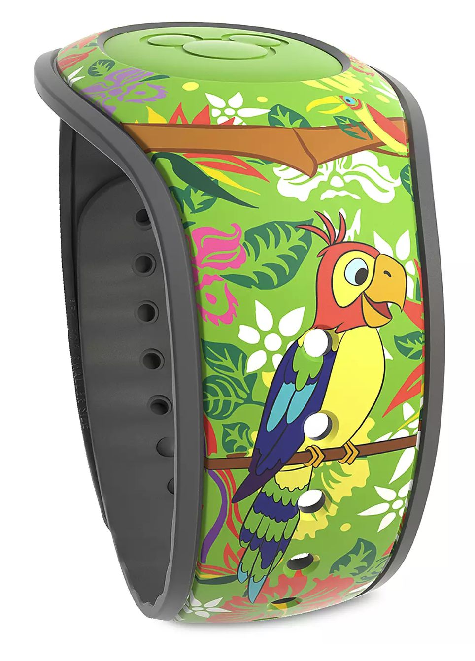 Main Attraction – Enchanted Tiki Room view 2