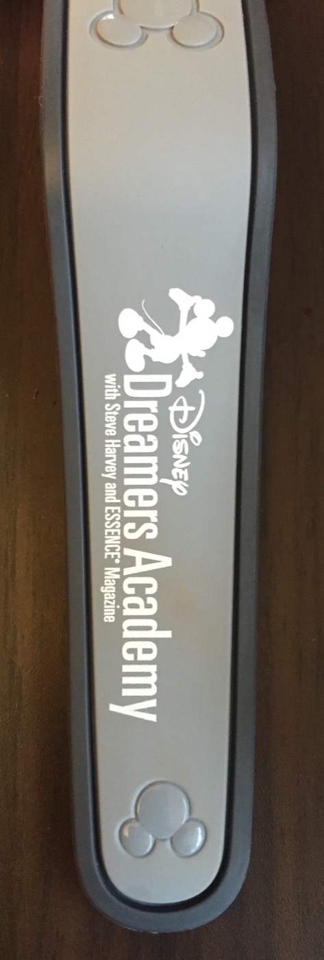 Disney Dreamers Academy (2014 – 2016) (2014, Gray) view 2