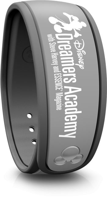 Disney Dreamers Academy (2014 – 2016) (2014, Gray) Disney MagicBand