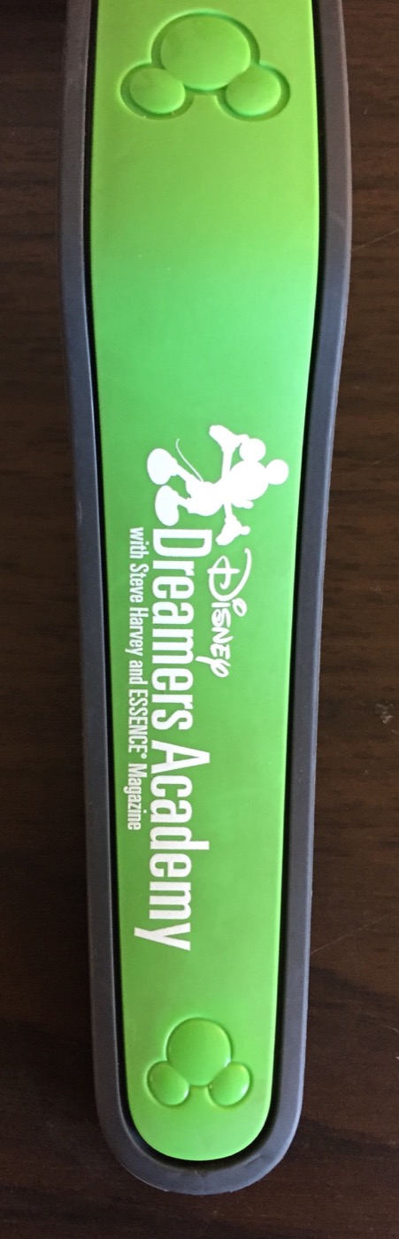 Disney Dreamers Academy (2014 – 2016) (2014, Green) view 2