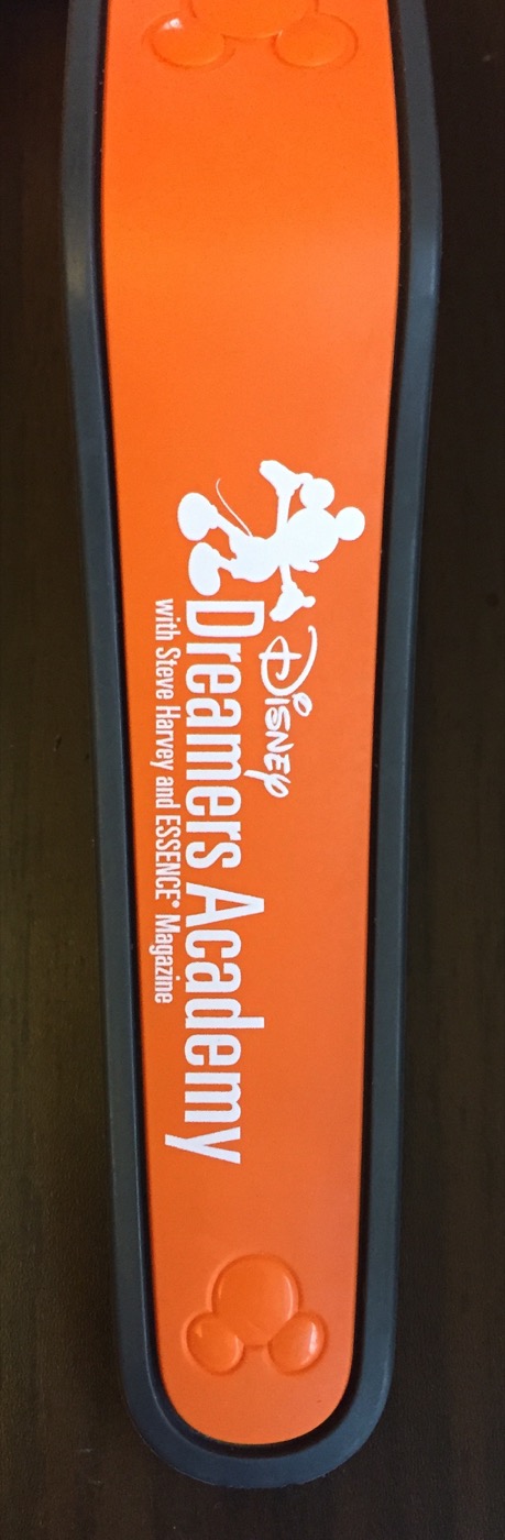 Disney Dreamers Academy (2014 – 2016) (2014, Orange) view 2