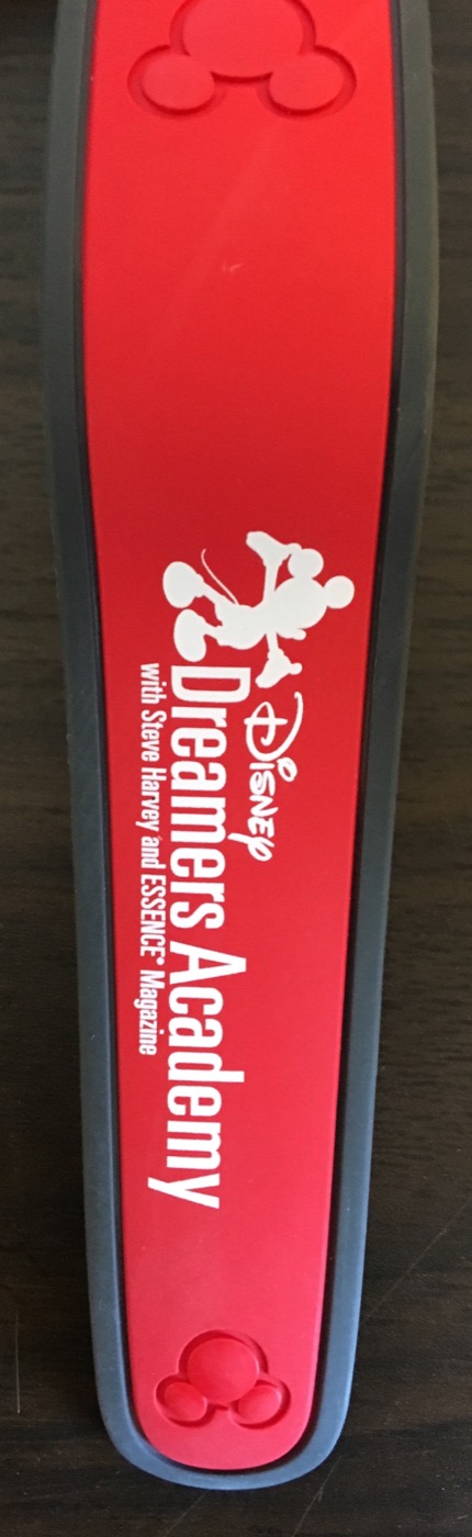 Disney Dreamers Academy (2014 – 2016) (2014, Red) view 2