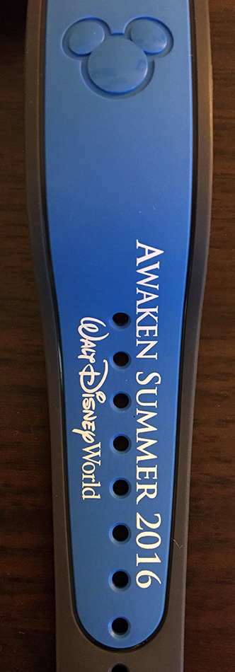 Awaken Summer 2016 view 3