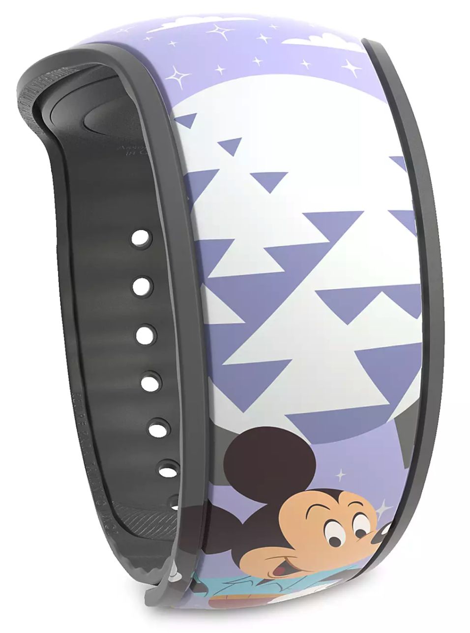 Park Life – Epcot Disney MagicBand