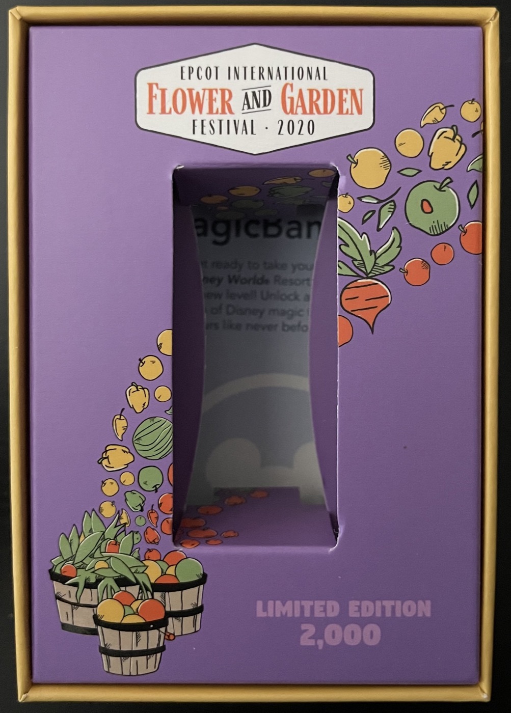 Epcot International Flower & Garden Festival 2020 – Figment view 2
