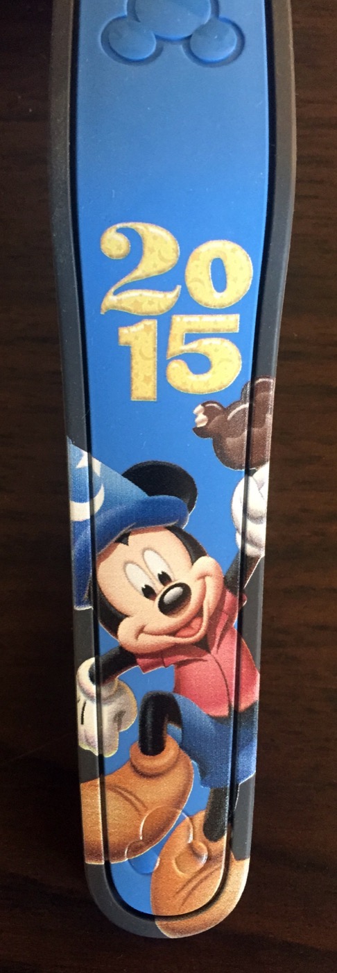 2015 view 3