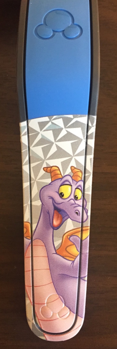 Epcot (2015) view 4