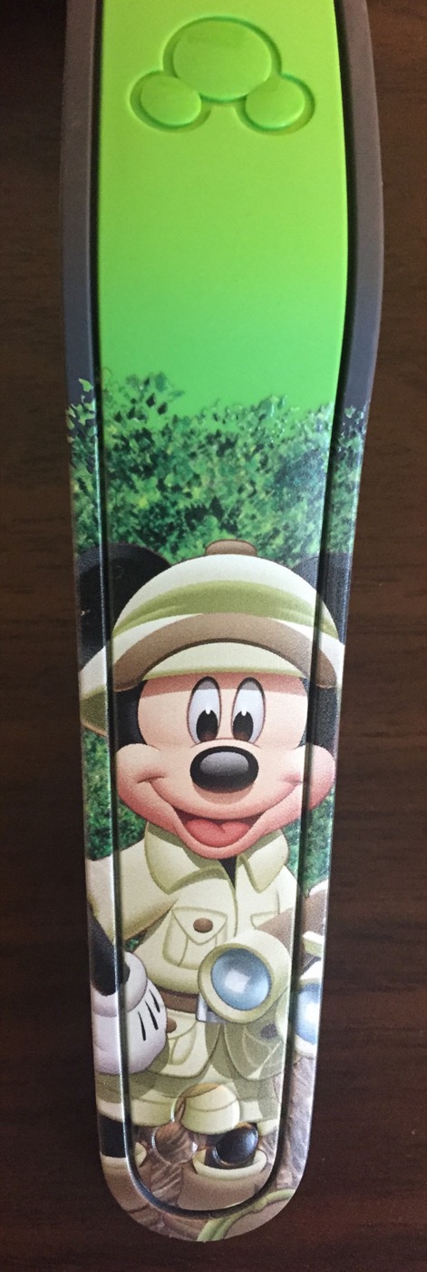 Disney’s Animal Kingdom (2015) view 4
