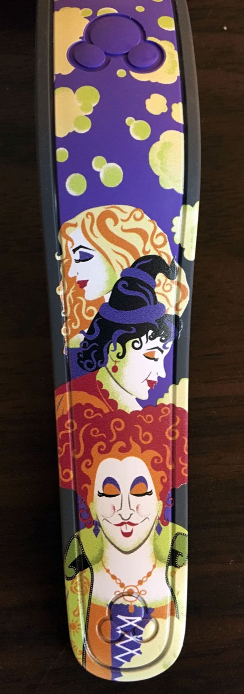 Hocus Pocus Villain Spelltacular 2015 view 4