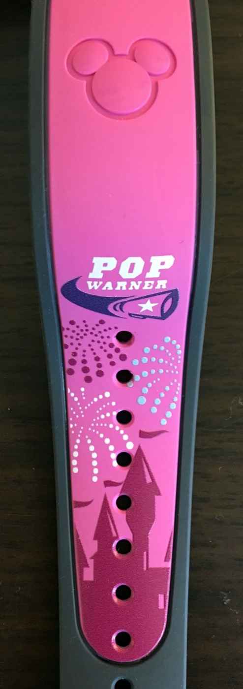 Pop Warner – Cheer view 3