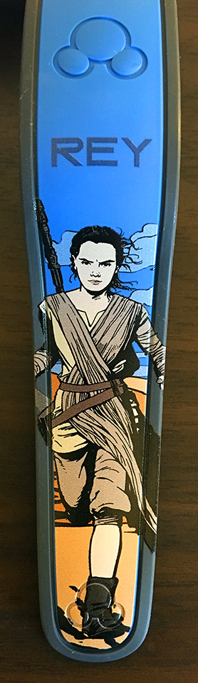 Rey view 4