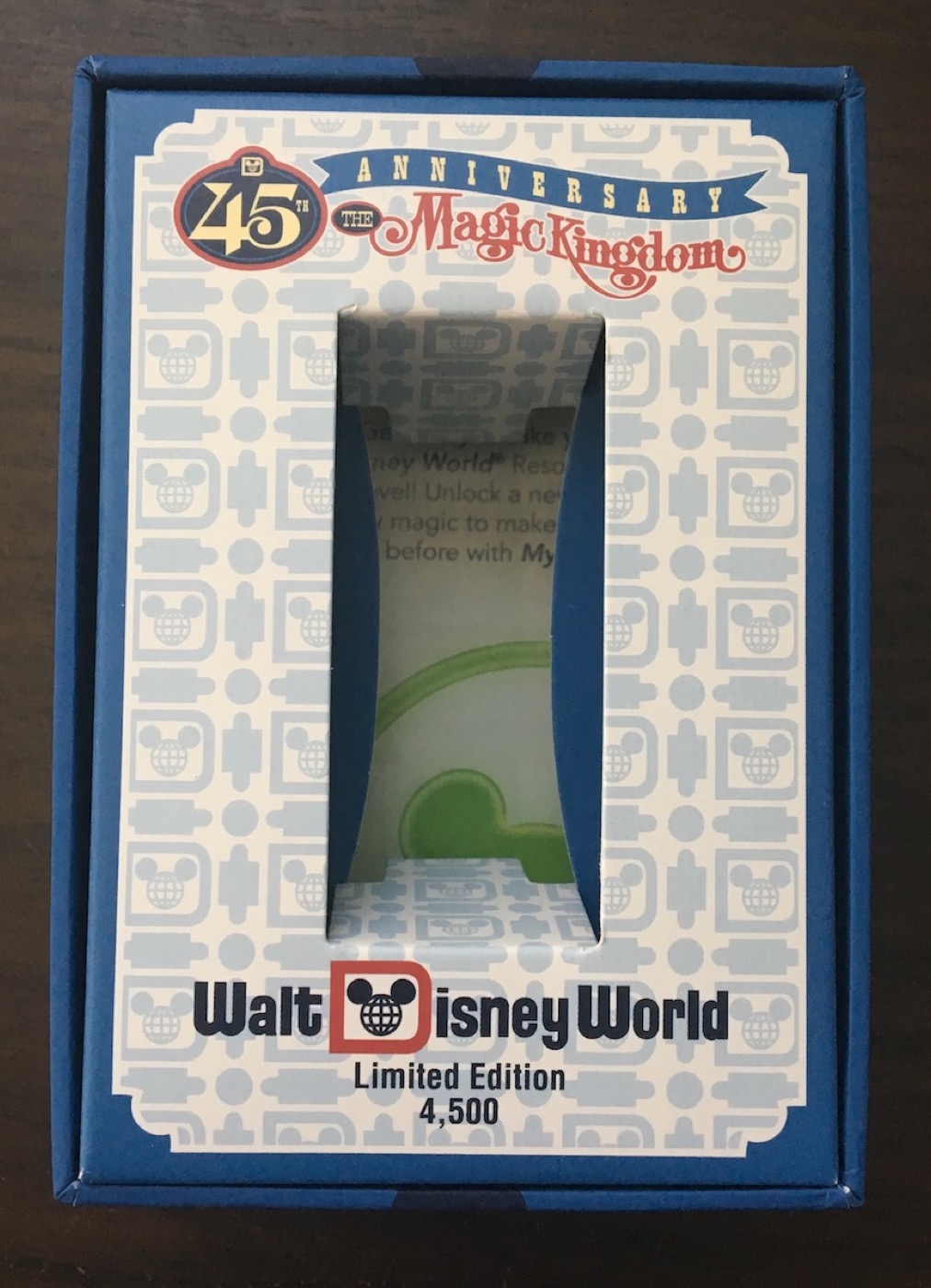 Magic Kingdom 45th Anniversary view 3