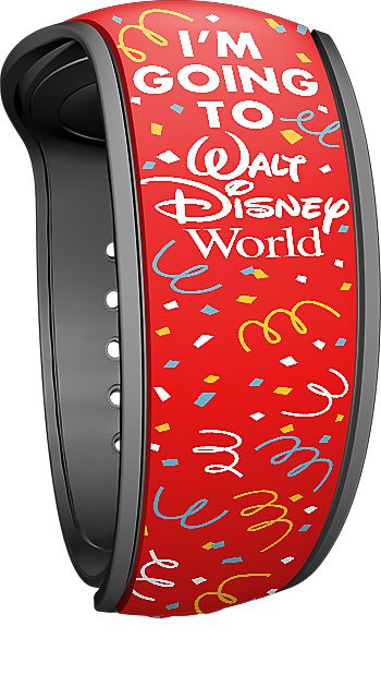 I’m Going to Walt Disney World view 2