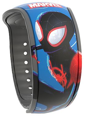 Spider-Man: Into the Spider-Verse view 2
