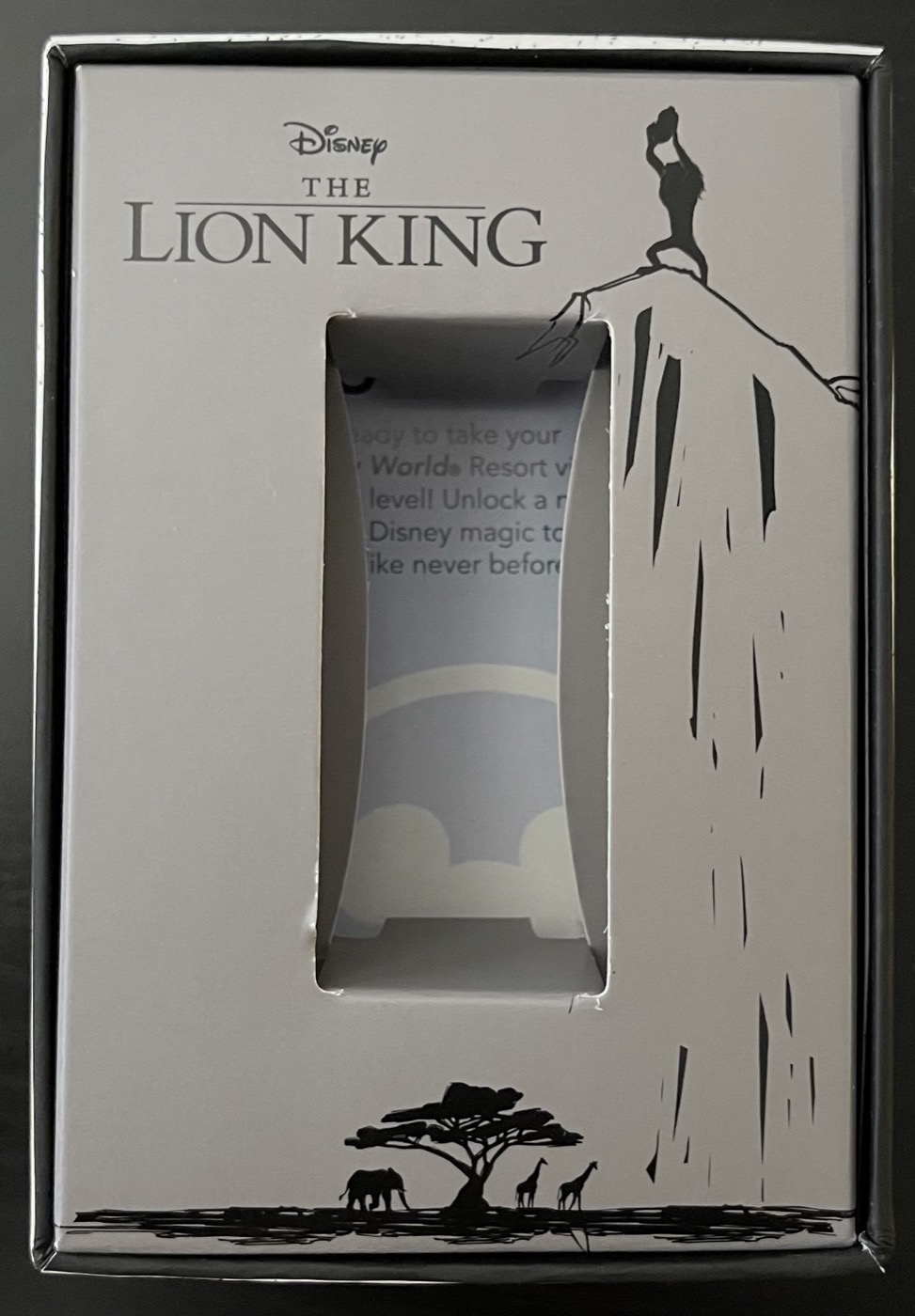 The Lion King (2019) view 3