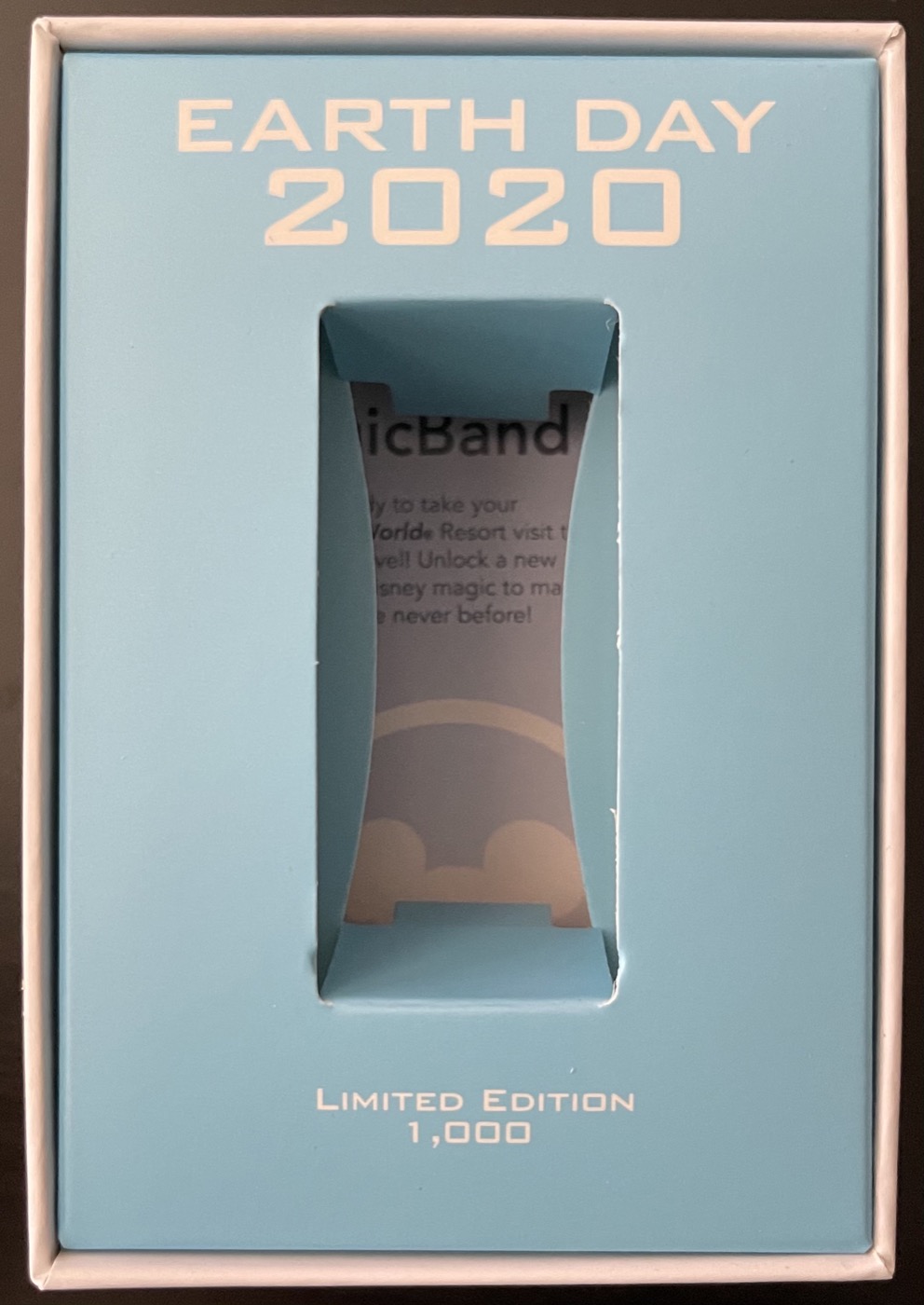 Earth Day 2020 view 2
