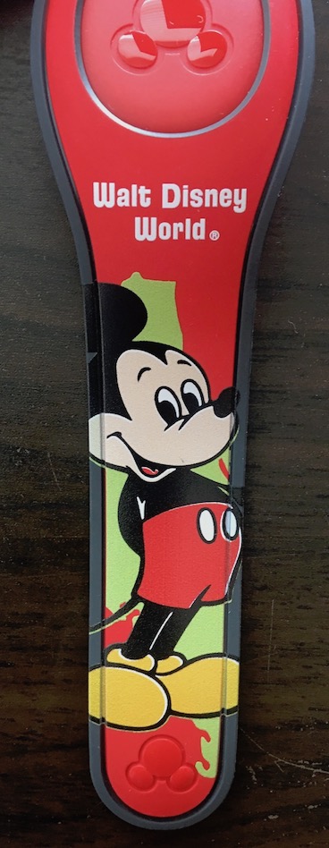 YesterEars – Walt Disney World view 4