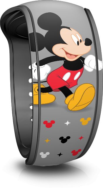 Hospitality Disney MagicBand
