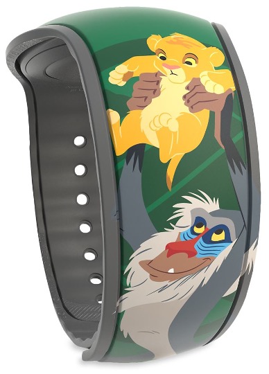 Rafiki & Simba view 2