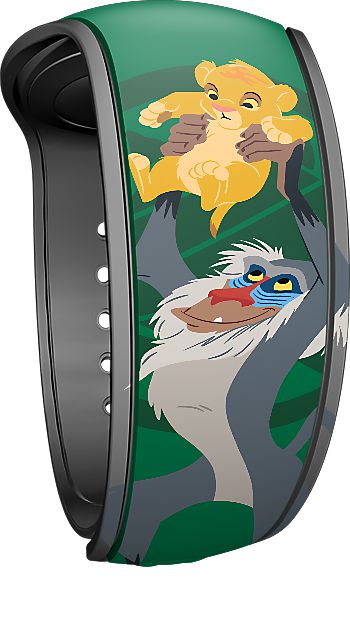 Rafiki & Simba view 3