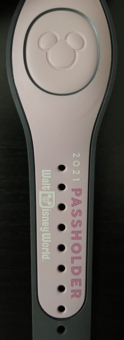 WDW Passholder – Daisy Duck view 2