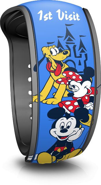 First Visit Group Disney MagicBand