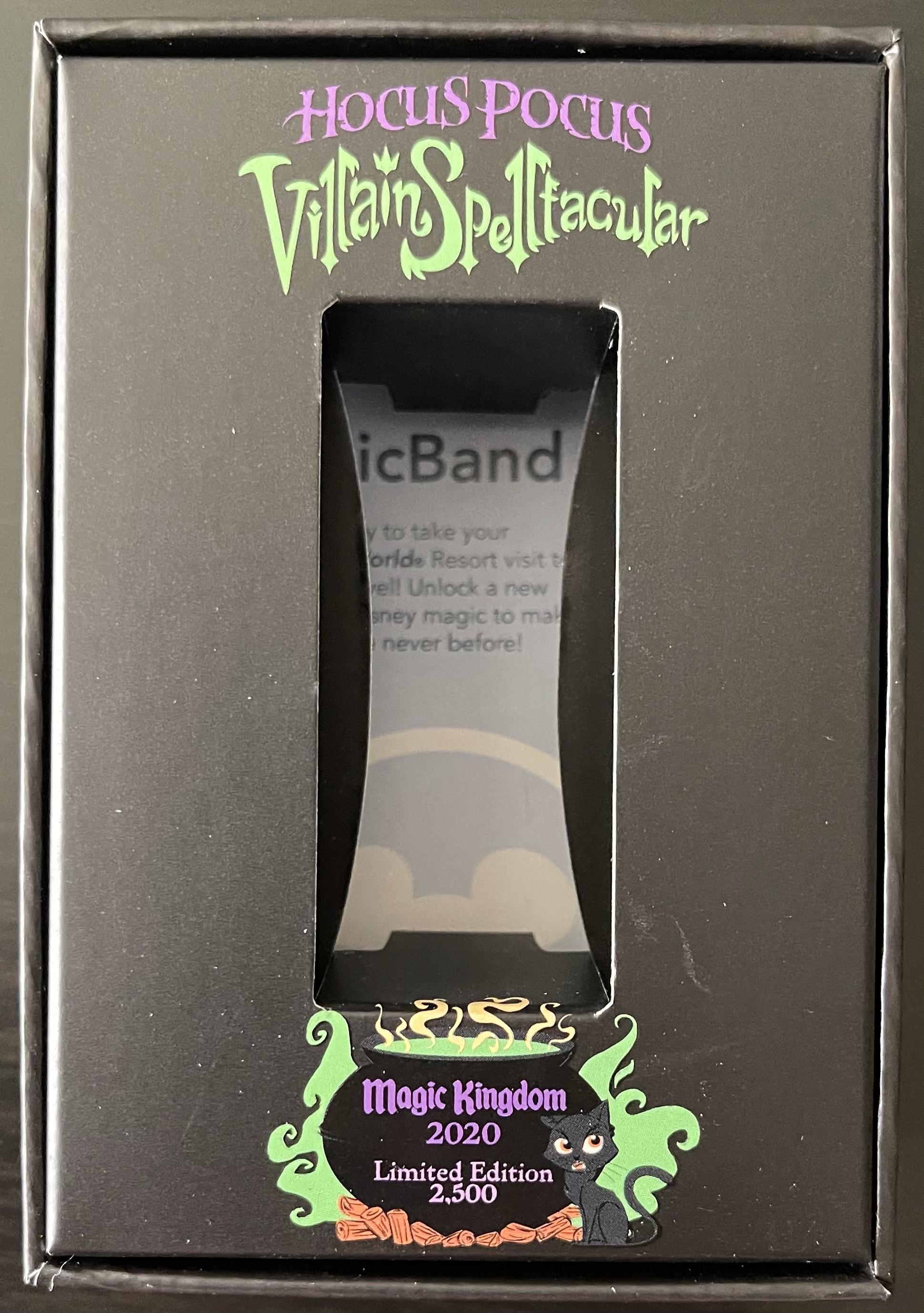 Hocus Pocus Villain Spelltacular 2020 Disney MagicBand