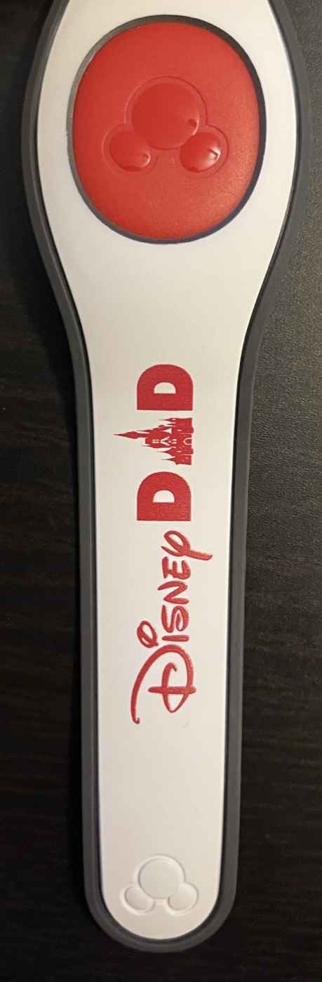 Disney Dad (2021) view 3