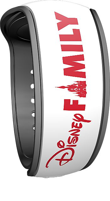 Disney Family view 2