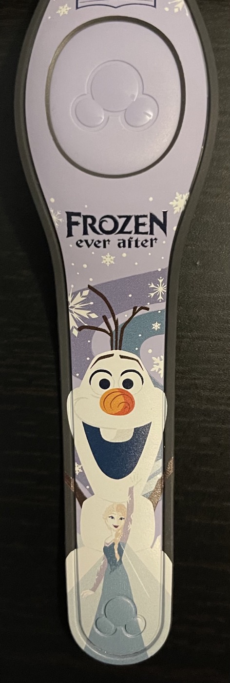 Frozen Ever After – 5th Anniversary view 3