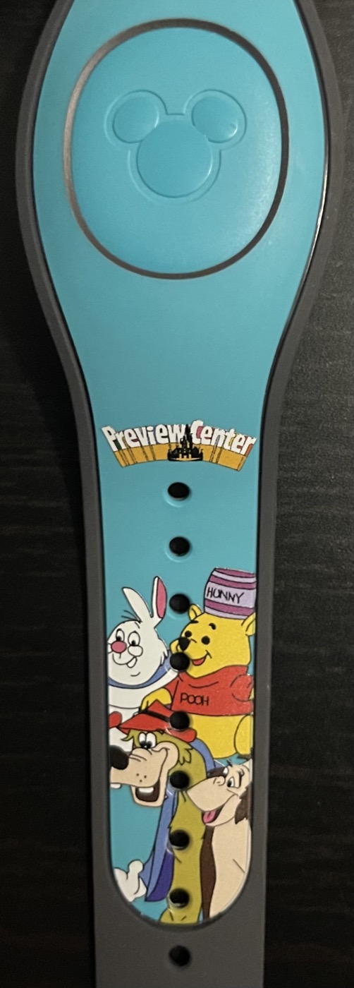 WDW 50 – Preview Center view 4