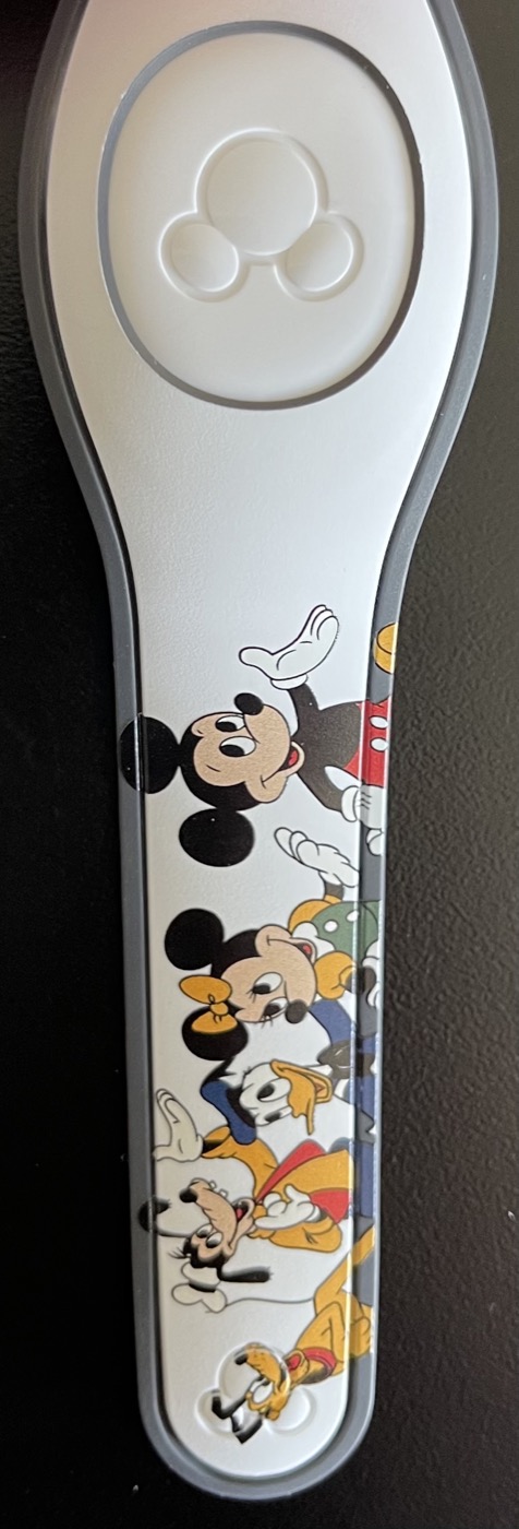 WDW 50 – License Plate view 3
