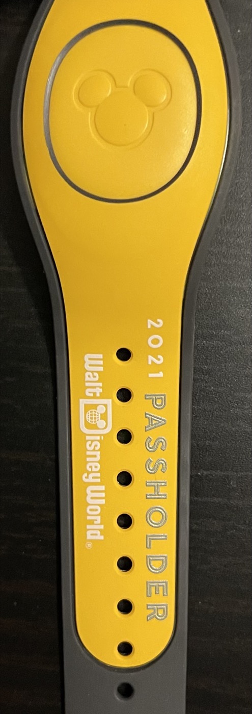 WDW Passholder – Scrooge McDuck view 2