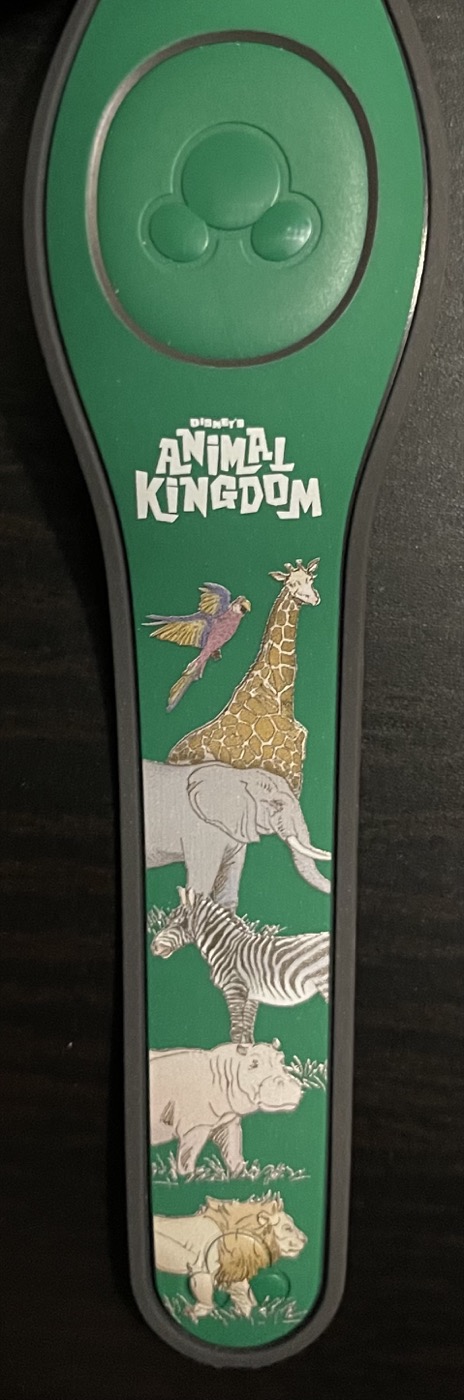 Disney’s Animal Kingdom (2021) view 4