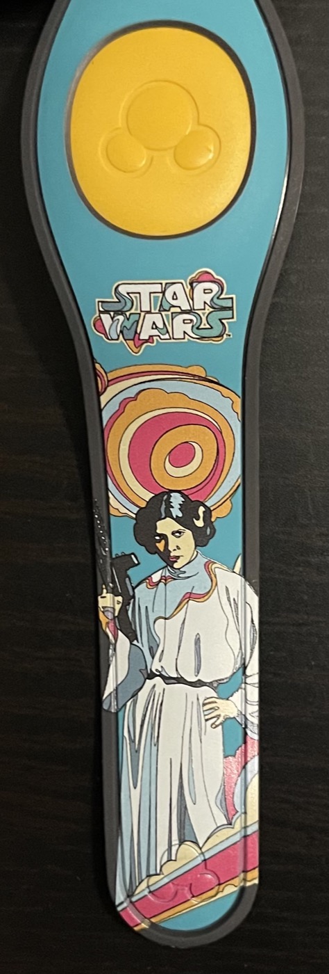 Princess Leia view 3