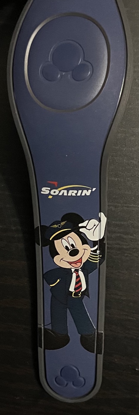 Soarin’ view 3