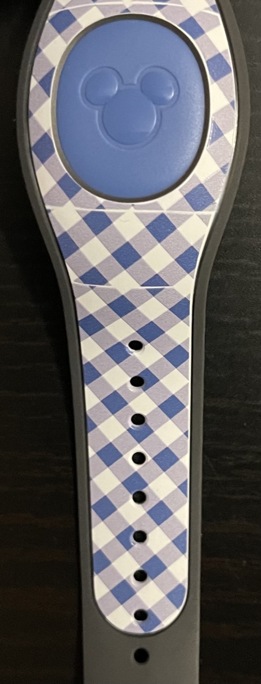Blue Plaid Mickey view 4