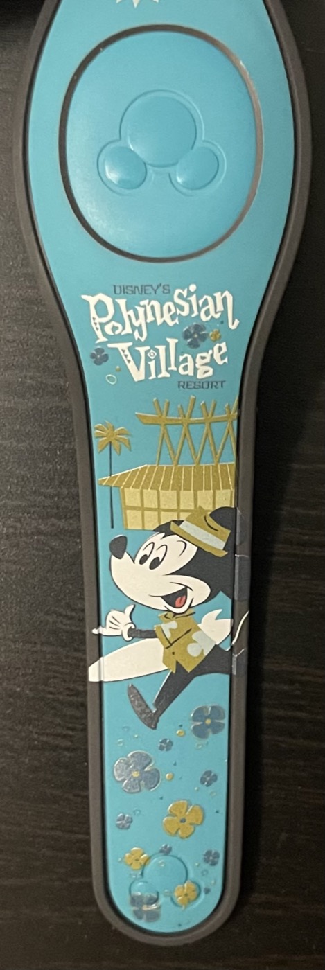 Disney’s Polynesian Village Resort view 3