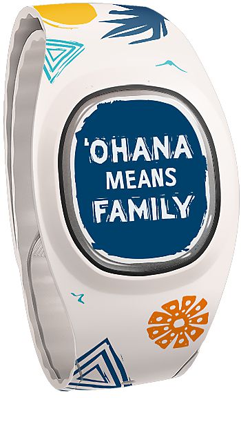 Ohana Means Family view 2