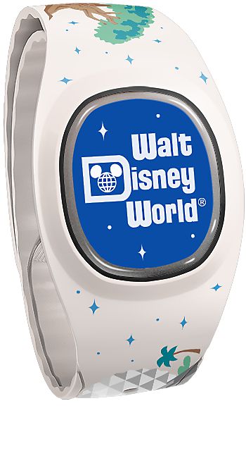 Walt Disney World Four Parks view 3