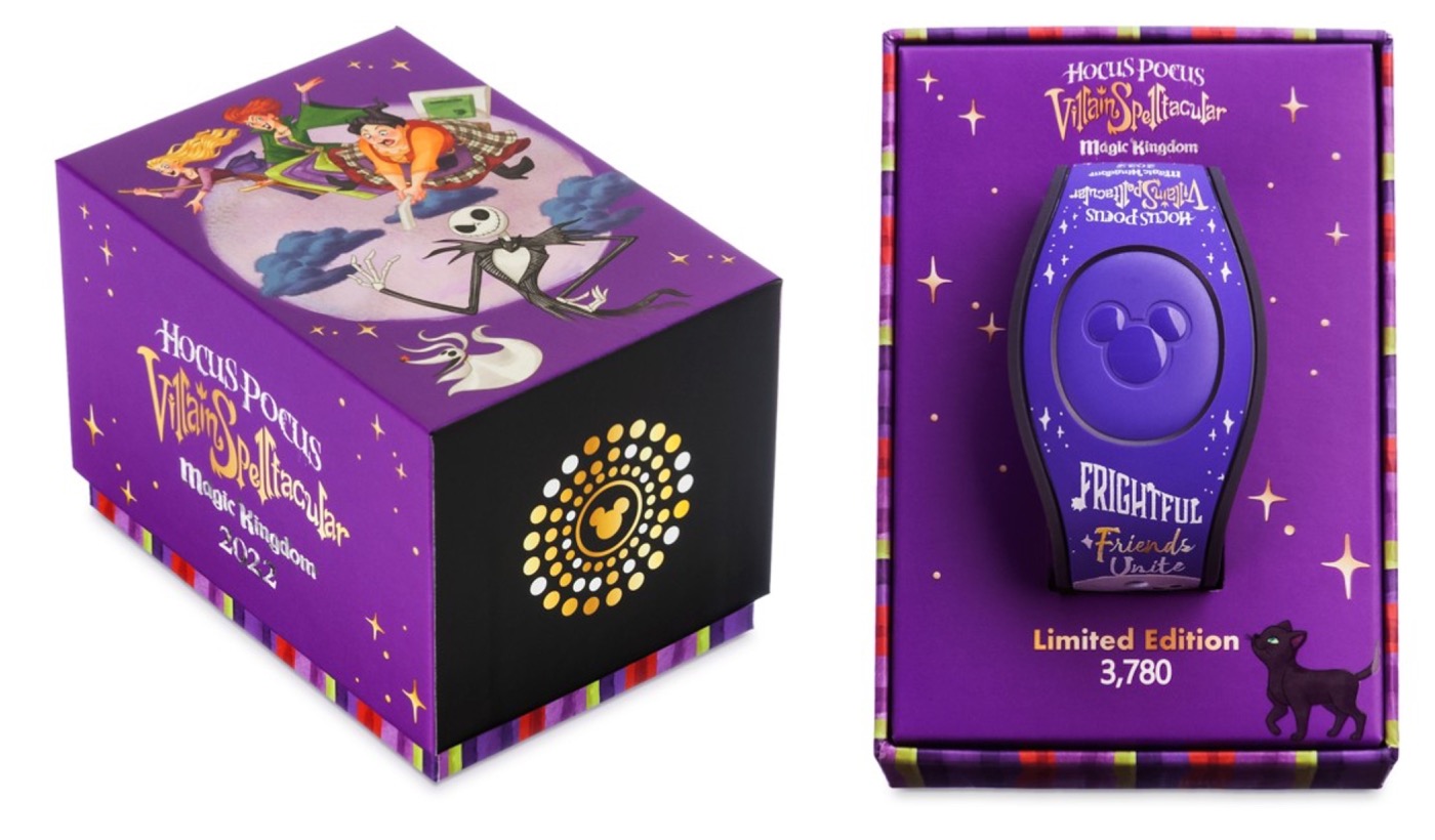 Hocus Pocus Villain Spelltacular 2022 view 3