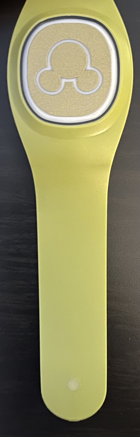 Olive Green (2022) view 4