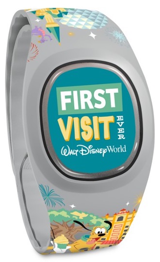 First Visit Ever (WDW) view 2