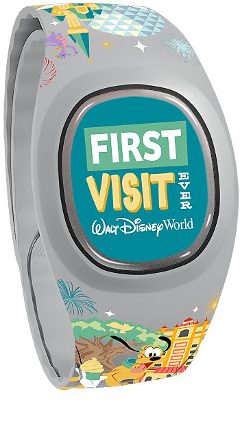 First Visit Ever (WDW) view 3