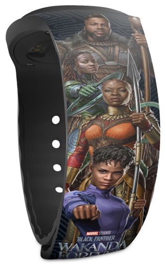 Black Panther: Wakanda Forever view 3