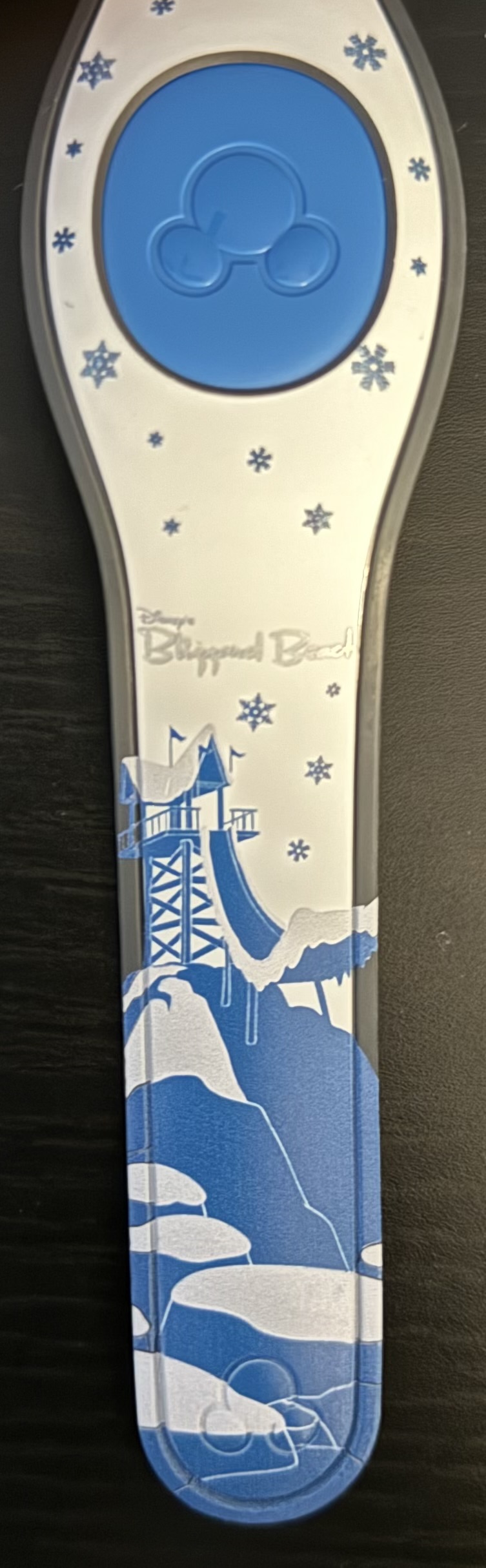 Disney’s Blizzard Beach Disney MagicBand
